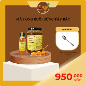 Mật ong ruồi rừng Tây Bắc