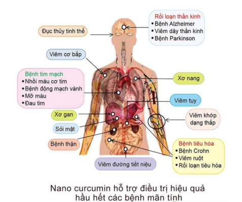 ảnh minh họa về các nghiên cứu về curcumin và các lợi ích sức khỏe